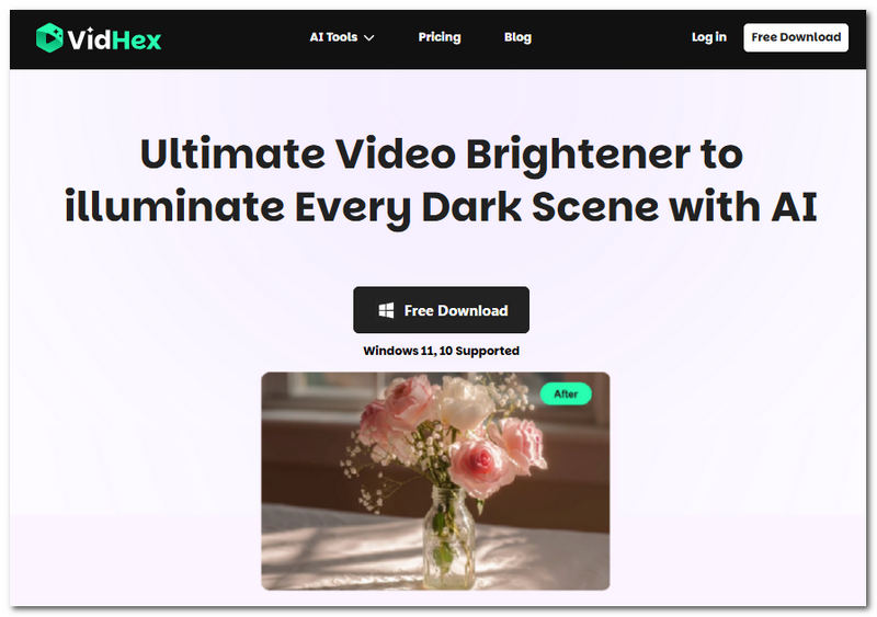 Vidhex Video Brightener