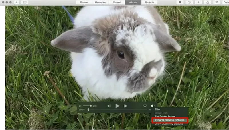 Fotoexport