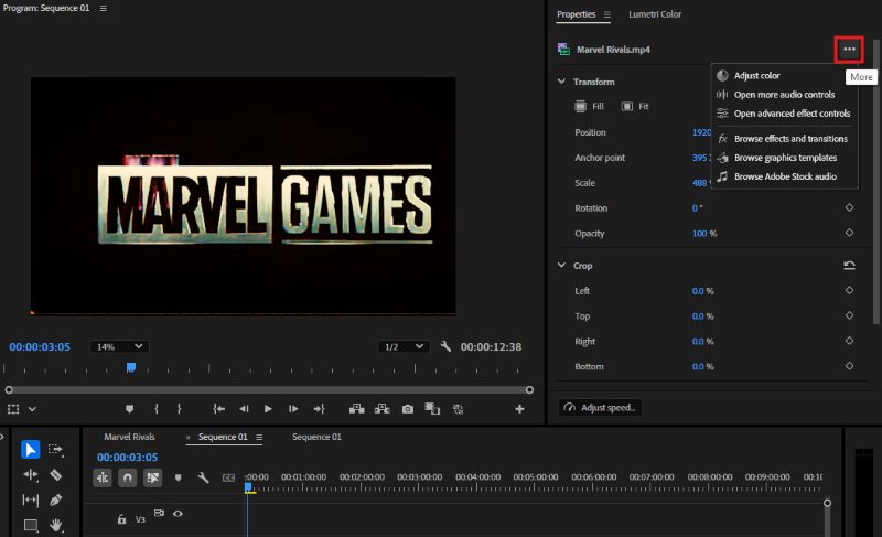 Premiere Pro-Anpassungen