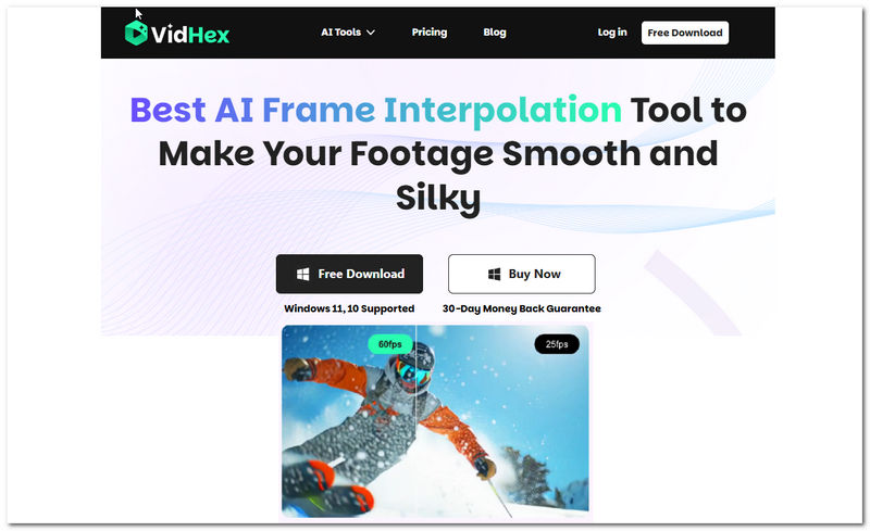 Vidhex-Frame-Interpolation