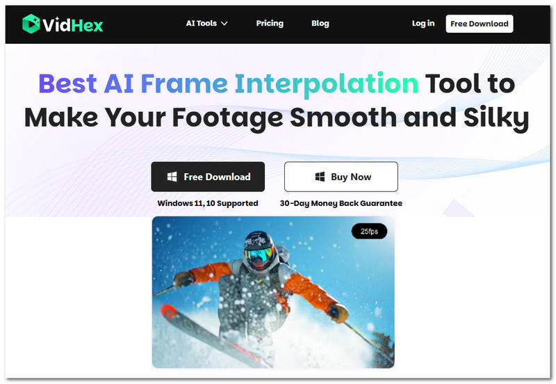 Vidhex-Frame-Interpolation