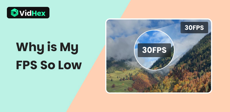 Warum ist mein FPS so niedrig?